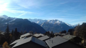 Authentic 2 bedroom apartment Verbier